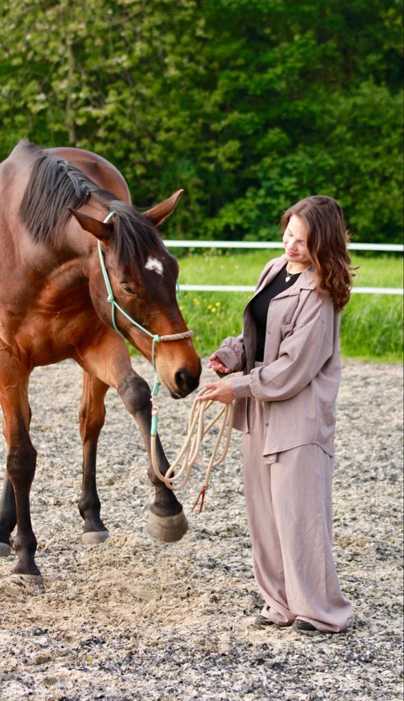 Gezocht leuke pony, Dieren en Toebehoren, Stalling en Weidegang