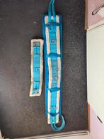 Longeersingel + pad, Dieren en Toebehoren, Ophalen of Verzenden, Gebruikt, Overige soorten