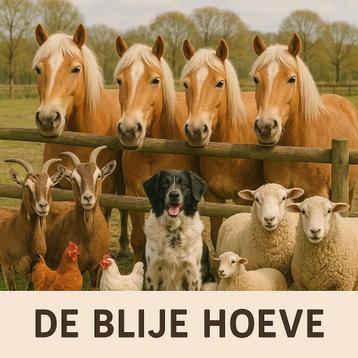 Kinderfeestjes op De Blije Hoeve  beschikbaar voor biedingen