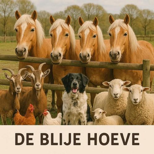 Kinderfeestjes op De Blije Hoeve, Tickets en Kaartjes, Overige Tickets en Kaartjes, Drie personen of meer