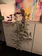 Tradescantia zebrina – hangplant incl. pot, Huis en Inrichting, Kamerplanten, Ophalen