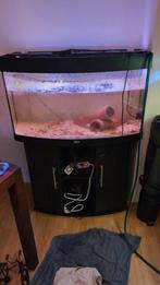 Juwel vision 180, Dieren en Toebehoren, Ophalen, Zo goed als nieuw, Leeg aquarium