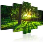 920 Natuur Bomen Bos 5 Luik Canvas Schilderij 200x100 Nieuw, Nieuw, 125 cm of meer, Ophalen of Verzenden, Schilderij