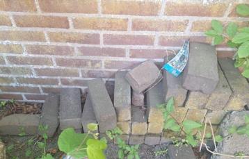 Waaltjes 40 stuks beschikbaar voor biedingen
