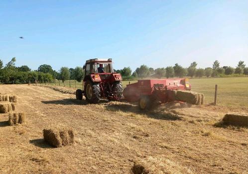 Hooibalen hooipakjes hooi baal balen, Dieren en Toebehoren, Dierenvoeding, Vee, Ophalen
