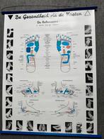 Poster voetreflex massage, Ophalen of Verzenden, Zo goed als nieuw