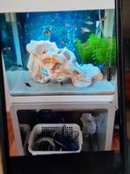 Aquarium, Dieren en Toebehoren, Ophalen of Verzenden, Zo goed als nieuw, Leeg aquarium