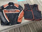 Harley Davidson jas maat Xl met protectors, Motoren, Kleding | Motorkleding, Dames, Jas | leer, Harley Davidson, Ophalen of Verzenden