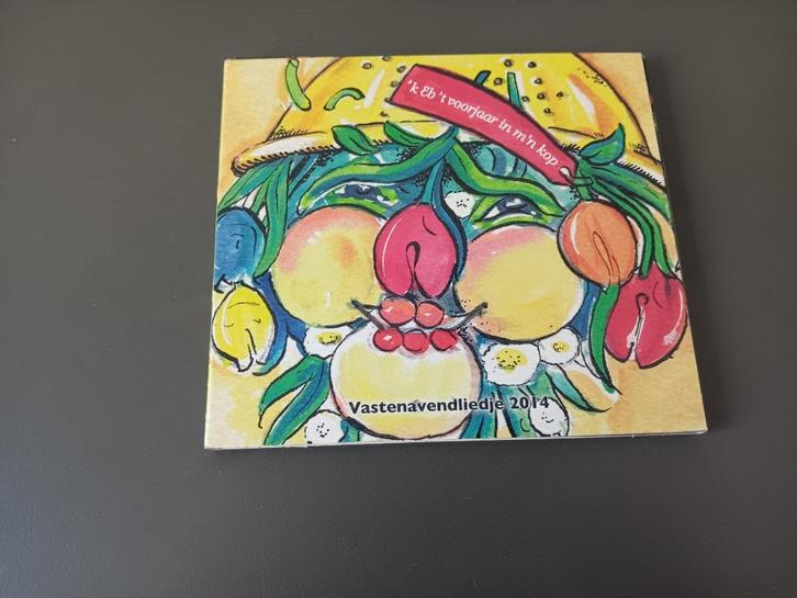 Vastenavendliedje 2014 – ‘k Eb ’t Voorjaar in m’n Kop, Cd's en Dvd's, Cd's | Overige Cd's, Gebruikt, Ophalen of Verzenden