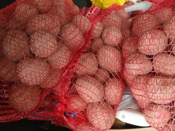 AARDAPPELS BILDSTAR beschikbaar voor biedingen