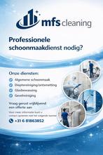 Professionele schoonmaak dienst, Ophalen of Verzenden