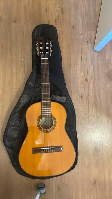 Gitaar ( Salvador Cortez SCG-512) beschikbaar voor biedingen