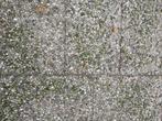 grindtegels 50x50cm 20 stuks, Tuin en Terras, Ophalen, Gebruikt, Beton, Terrastegels
