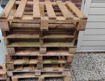 partij mini pallets  beschikbaar voor biedingen