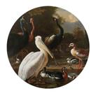 Schilderij | Wanddecoratie | Jungle | Ooievaar, Ophalen, 50 tot 75 cm, Zo goed als nieuw, Schilderij