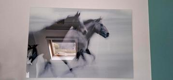 Paardenprint op glas beschikbaar voor biedingen