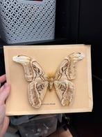 vlinder, Dieren en Toebehoren, Insecten en Spinnen, Vlinders of Rupsen