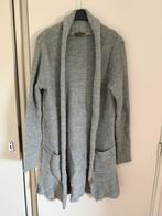 Zusss vest, maat 1, Ophalen of Verzenden, Zo goed als nieuw, Maat 38/40 (M), Grijs