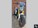 BMW R 1250 R HP (2020)  ((( FULL OPTIES ))) R1250 R1250R, 2 cilinders, 1254 cc, Motorrijbewijs A, Bedrijf