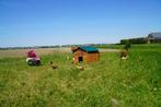 Trespa Kippenhok / Chalet L - Cucciolotta, Ophalen of Verzenden, Nieuw, Kippenhok of Kippenren