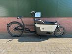 Carqon Cruise 2023 met Bosch Cargo Line & 500WH 53km totaal!, Heerenveen, Elektrisch, 2 kinderen, Carqon