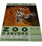 1960s Poster Zoo Antwerpen - Zoo D’Anvers, Ophalen of Verzenden