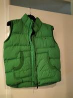 Vlotte Tommy Hilfiger bodywarmer maat m zgan, Kleding | Dames, Bodywarmers, Ophalen of Verzenden, Zo goed als nieuw, Maat 38/40 (M)
