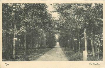(387-109-013) Epe de Dellen beschikbaar voor biedingen
