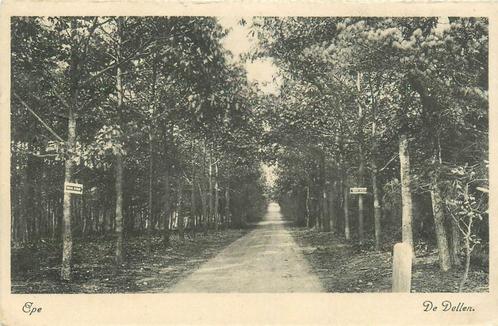 (387-109-013) Epe de Dellen, Verzamelen, Ansichtkaarten | Nederland, Gelderland, Verzenden
