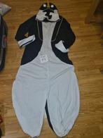 Pinguïn pak te koop, Ophalen, Zo goed als nieuw, Maat 46/48 (XL) of groter, Carnaval