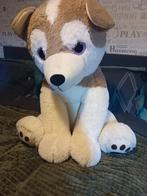 Schattige Knuffelhond - Zo Goed Als Nieuw!, Kinderen en Baby's, Speelgoed | Knuffels en Pluche, Ophalen, Zo goed als nieuw, Hond
