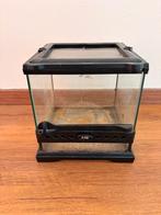 Exo Terra Mini Terrarium 20x20x20, Dieren en Toebehoren, Ophalen, Zo goed als nieuw