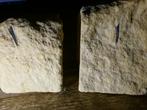 fossiel vissenkaakje groeve t rooth bemelen krijt, Ophalen of Verzenden, Fossiel