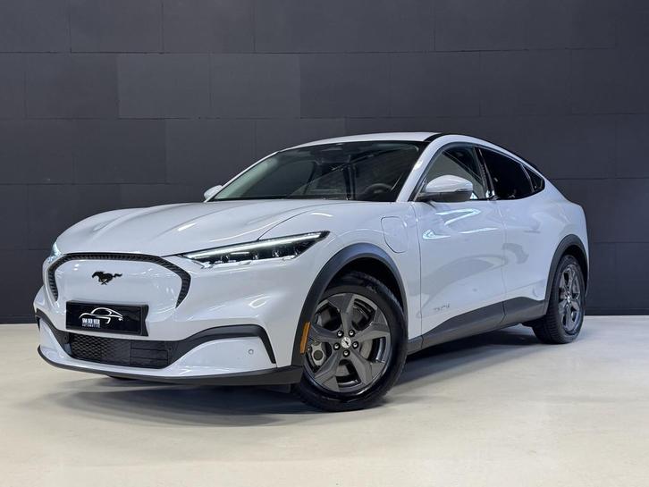 Ford Mustang Mach-E RWD 75 kWh | SOH 93,5% | Camera | Adapti, Auto's, Ford, Bedrijf, Te koop, Mustang, ABS, Achteruitrijcamera