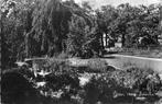 (381-044-011) Leiden Hortus Botanicus, Verzenden, Zuid-Holland
