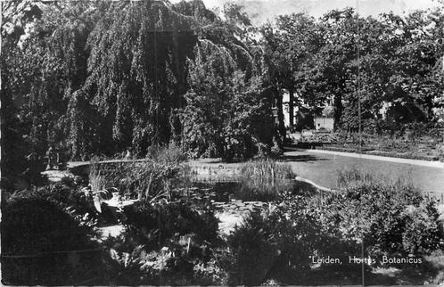 (381-044-011) Leiden Hortus Botanicus, Verzamelen, Ansichtkaarten | Nederland, Zuid-Holland, Verzenden