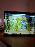 Mooi  superfish tropical 50 aquarium, Ophalen, Zo goed als nieuw, Leeg aquarium