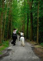 Weiland of in eigen beheer met schuilmogelijkheden, Weidegang, 2 of 3 paarden of pony's