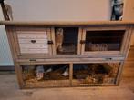 Duvo + Konijnenhok XXL, Ophalen, Cavia, 90 cm of meer, Hok
