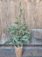 Kunst Dennenboom 75cm - Sneeuw Effect, Tuin en Terras, Planten | Bomen, Volle zon, Bloeit niet, 100 tot 250 cm, Overige soorten