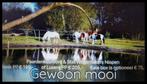 Shetlander en paard en pony Paddock Paradise, Dieren en Toebehoren, Stalling en Weidegang, Weidegang, 4 paarden of pony's of meer