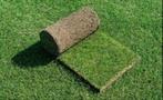 Graszoden ´premium´ gras afhalen of laten bezorgen, Tuin en Terras, Nieuw, Ophalen of Verzenden, Gras
