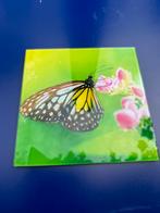 Vlinder op plexiglas ( hang & sta ), Ophalen of Verzenden