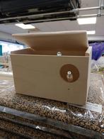 Broedblok agapornide actie 50 % korting, Dieren en Toebehoren, Ophalen of Verzenden