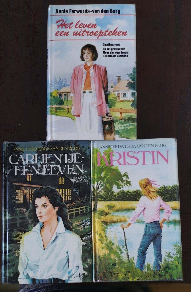 Boeken Annie Ferwerda-van den Berg, Boeken, Romans, Zo goed als nieuw, Ophalen of Verzenden
