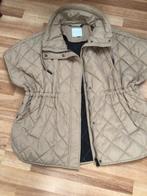 Rino en Pelle beige bodywarmer  - Nieuw !, Kleding | Dames, Ophalen of Verzenden, Nieuw, Maat 38/40 (M), Beige