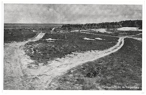 959073 Ede Langenberg Heidegezicht 1956 Gelopen met Post, Verzamelen, Ansichtkaarten | Nederland, Gelopen, Gelderland, 1940 tot 1960
