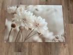 Inductie / kookplaat beschermer 80x52 cm NIEUW, Ophalen of Verzenden, Nieuw