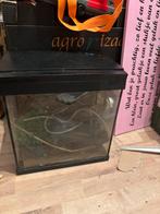 Aquarium, Ophalen of Verzenden, Zo goed als nieuw, Leeg aquarium