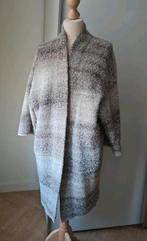 PAUW ANNECLAIRE LANG VEST GRIJS/MÊLEE M, Maat 38/40 (M), Ophalen of Verzenden, Zo goed als nieuw, Pauw/Anne Claire